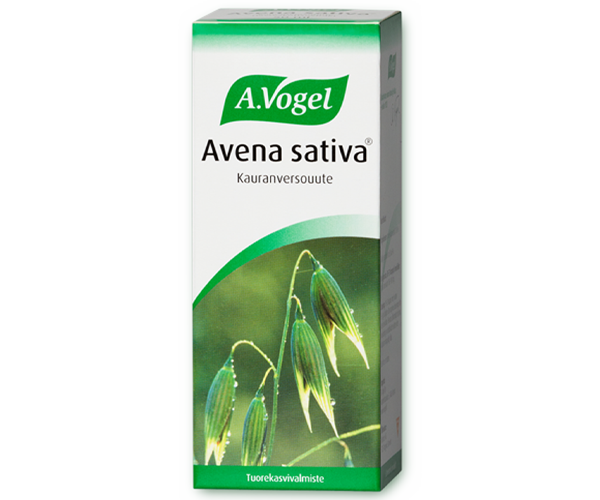 Vogel Avena Sativa kauranversouute